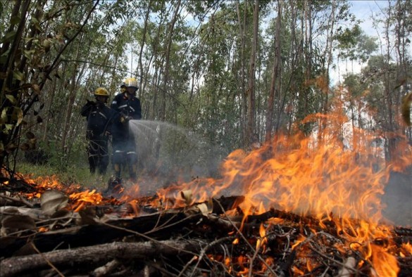 Altas temperaturas aumentan incendios forestales en el Tolima