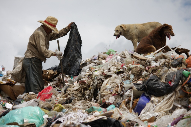 Echó una millonada a la basura 1 Fotoilustración