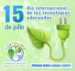 tecnolog-as-adecuadas