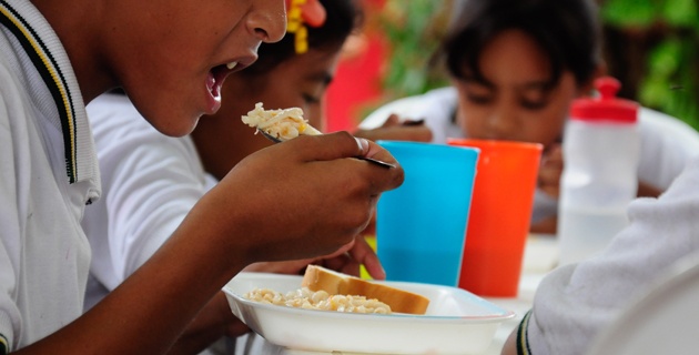 alimentos