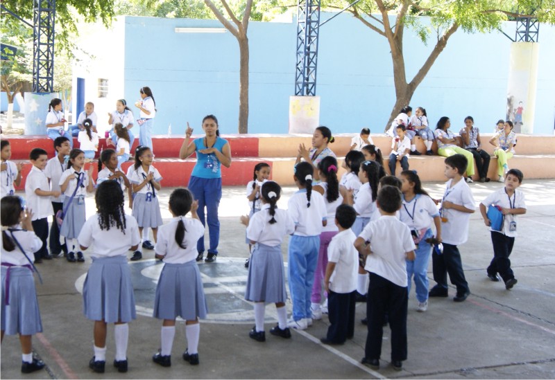 basica primaria
