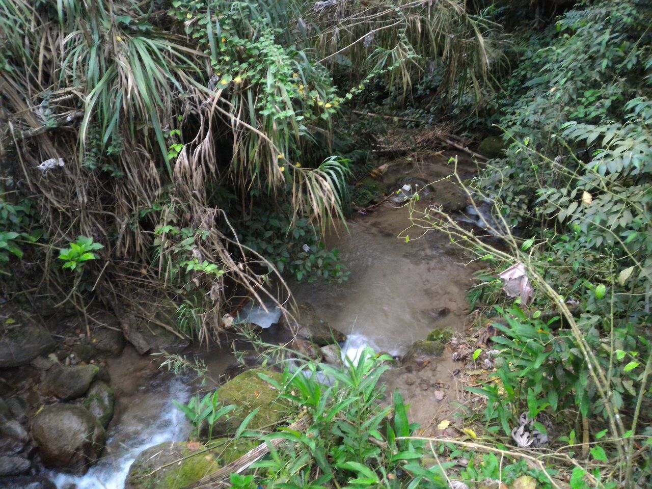 Quebrada