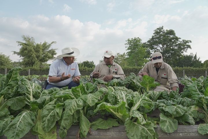 Excombatientes se forman técnicamente para fortalecer proyectos productivos 2 Agro