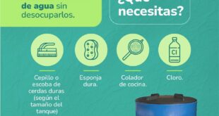 Consejos