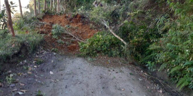 Tolima