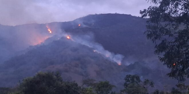 Incendios