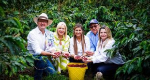 Un stand “imponente” tendrá el Tolima en la feria internacional Cafés de Colombia Expo 2025 1 Cafe