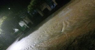 WhatsApp Image 2025 11 24 at 10.55.08 AM