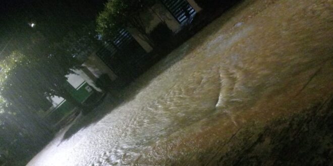 WhatsApp Image 2025 11 24 at 10.55.08 AM