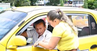 taxis