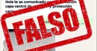 WhatsApp Image 2026 02 03 at 9.47.19 AM