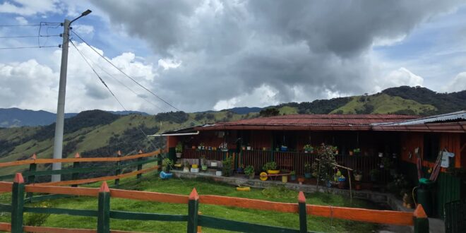 WhatsApp Image 2026 04 06 at 11.13.17 AM