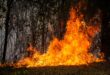 Incendios 1