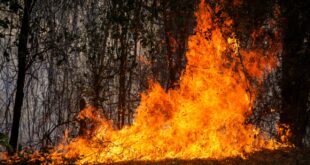 Incendios 1