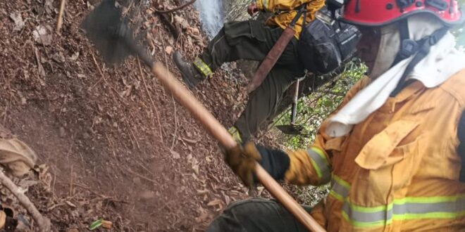 Incendios 2